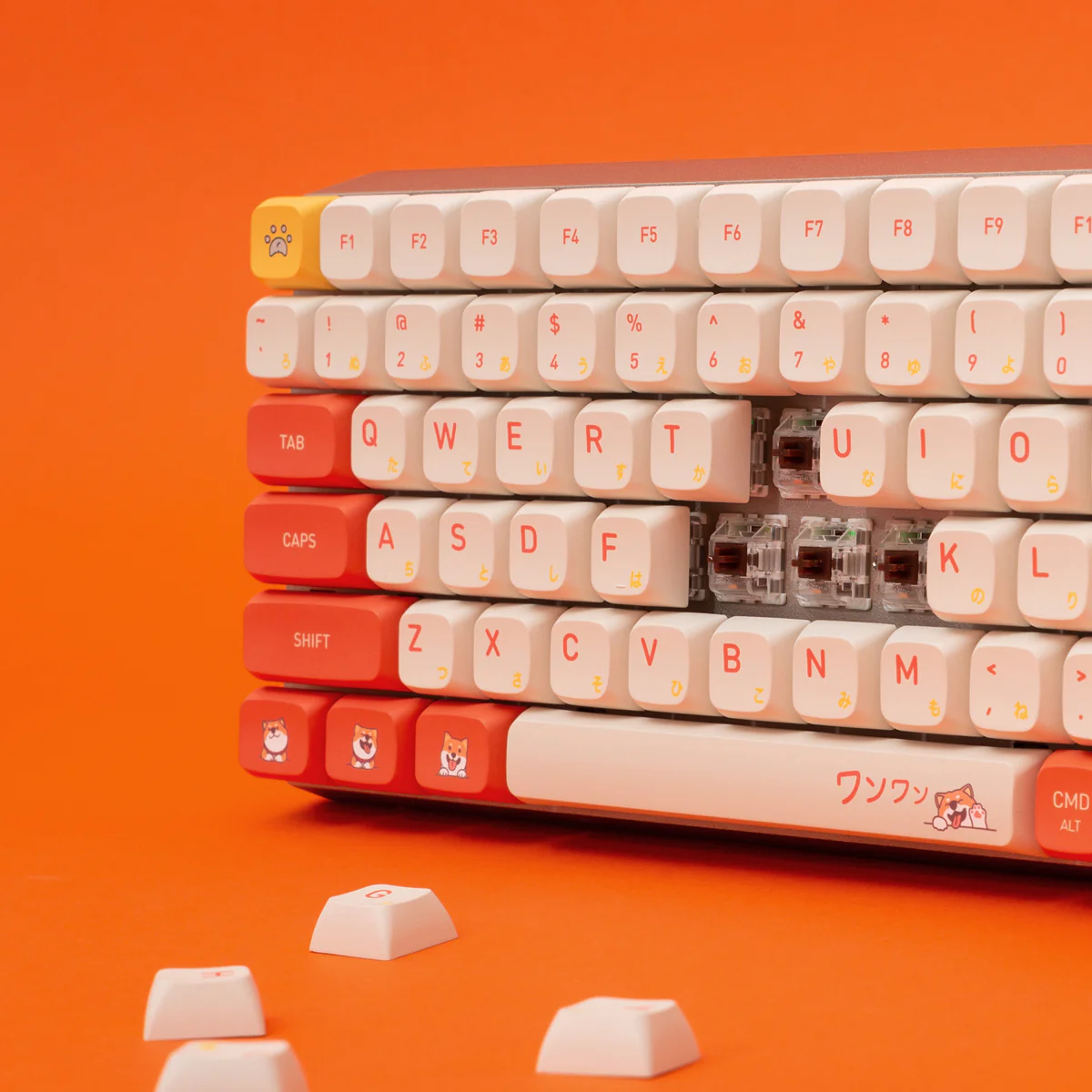 Shiba Keycaps - Image 3